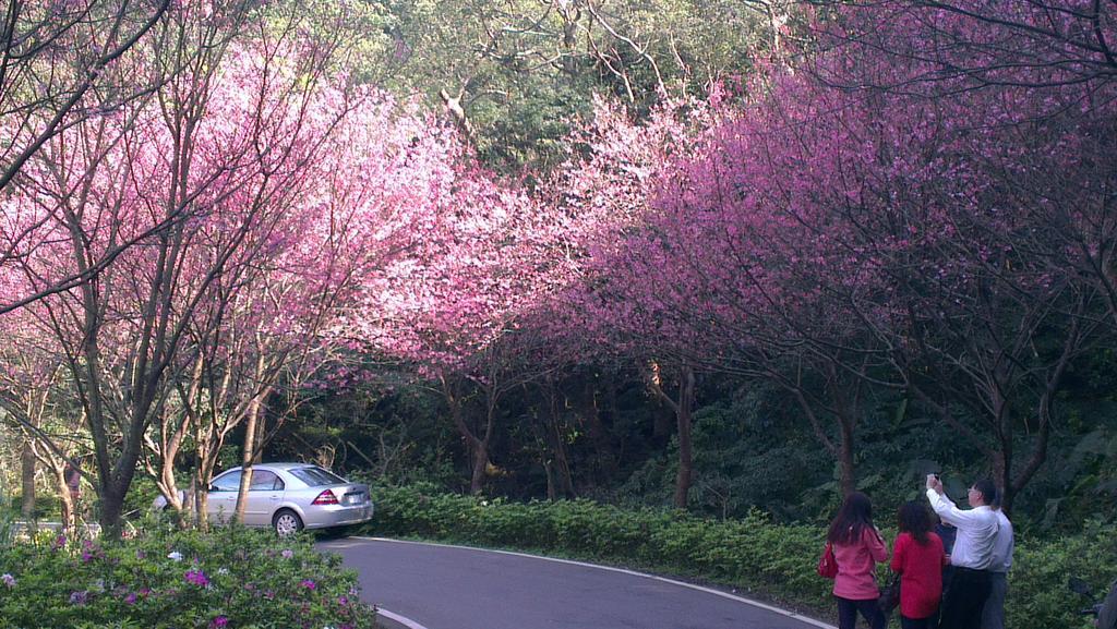 Emoonten Homestay 三芝区 エクステリア 写真