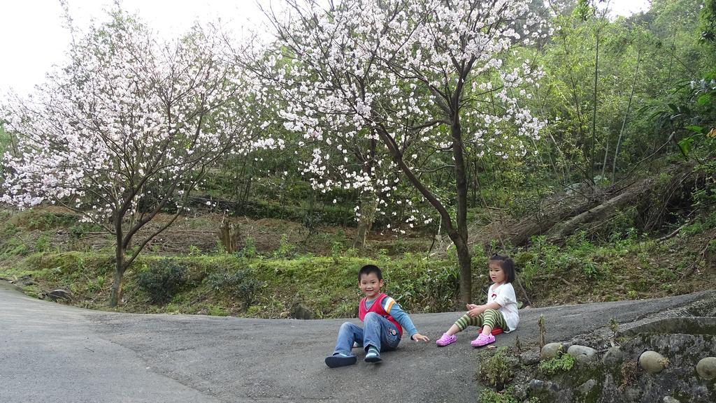 Emoonten Homestay 三芝区 エクステリア 写真