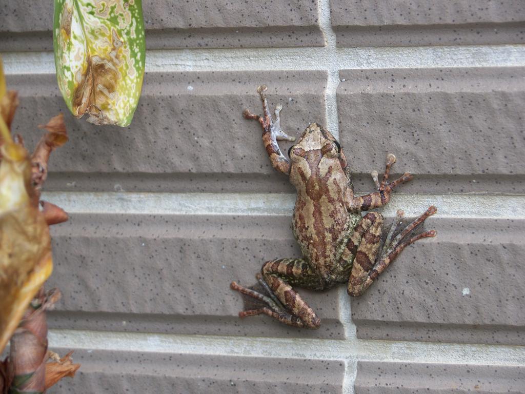 Emoonten Homestay 三芝区 エクステリア 写真